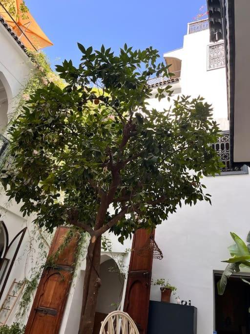 Riad Dar Fannan En Exclusivite Marrakesh Eksteriør billede